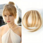 Breton din par artificial cu clips AP105 Blond Deschis Mixt cu suvite lateral